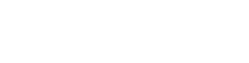 The Nimble Nerd logo